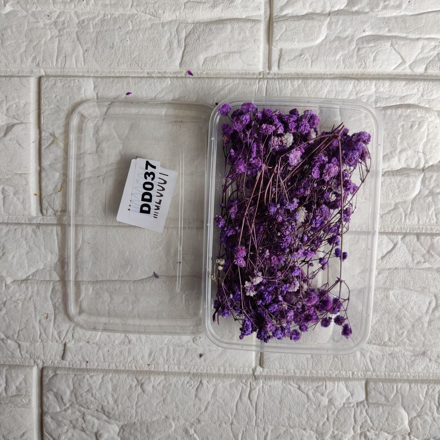 Dry Flower Box DD037 gypsy