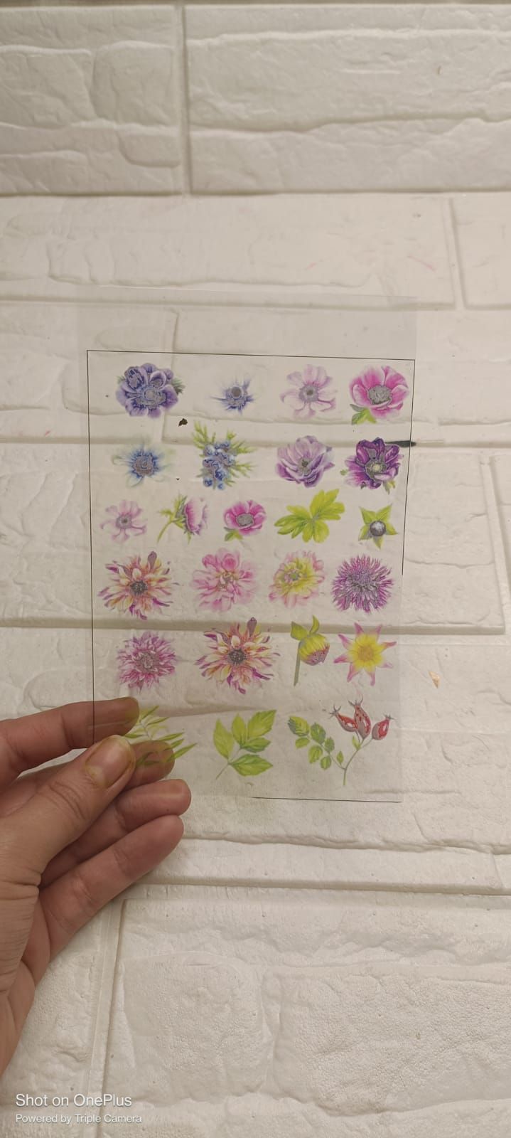 A6 Flower Insert Sheet