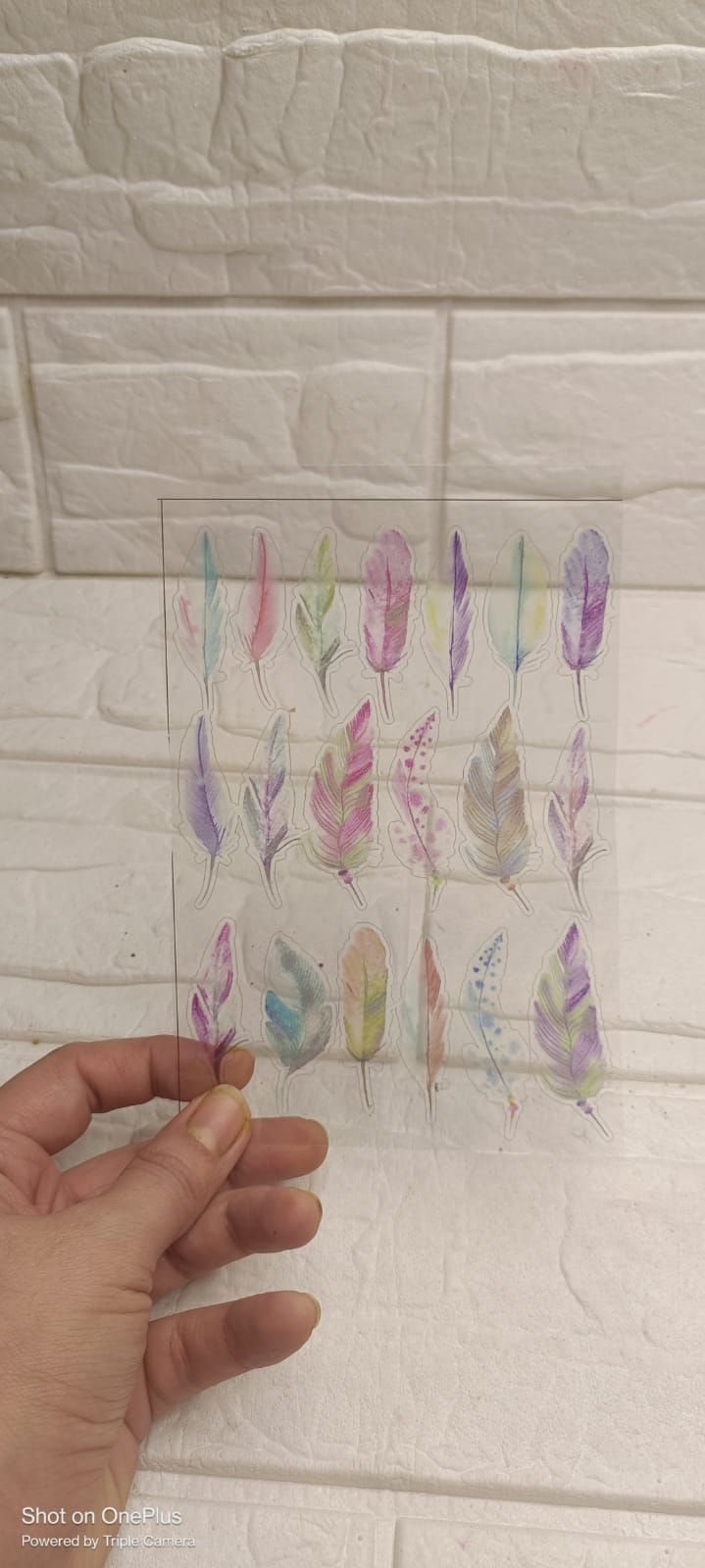 A6 pink Feather Insert Sheet