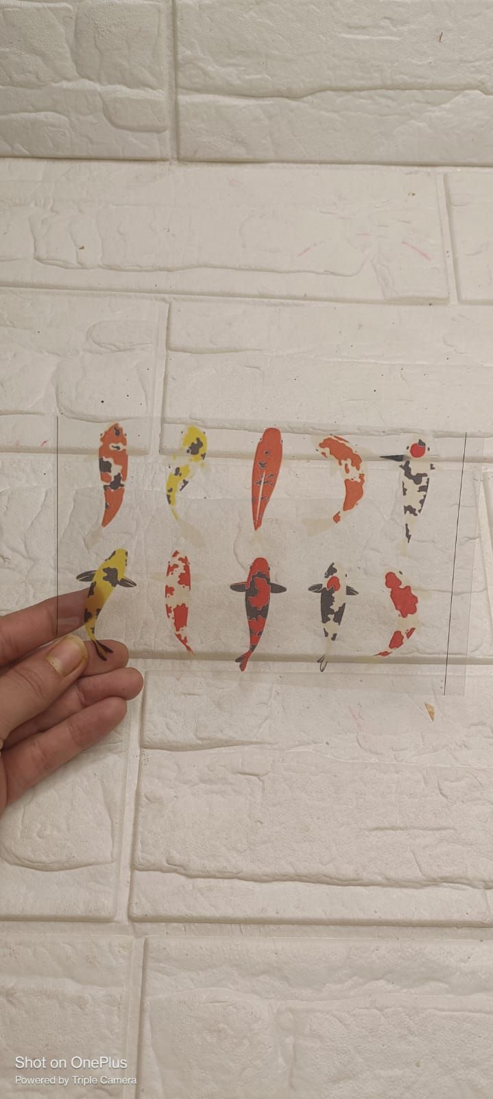 A6 KOI Fish Insert Sheet