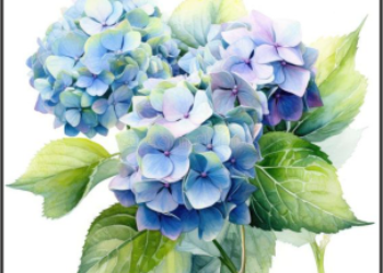 Sticker Sheet SS16 pack of 10