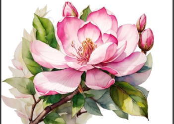 Sticker Sheet SS19 pack of 10 pc