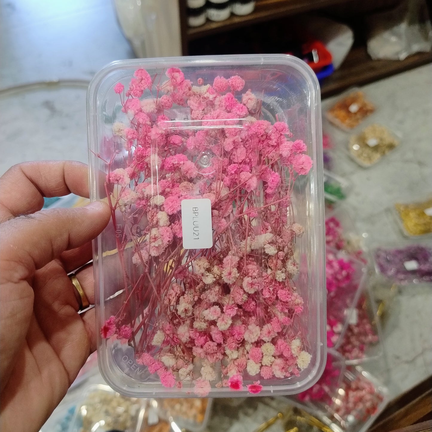 Gypsy flower Pink
