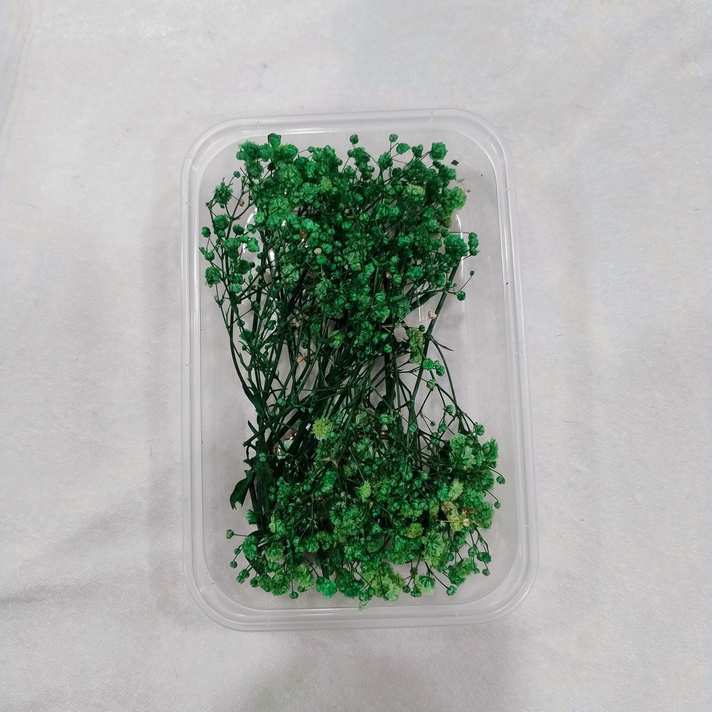 Baby Breath flower
gypsy flower
insane craft supplies