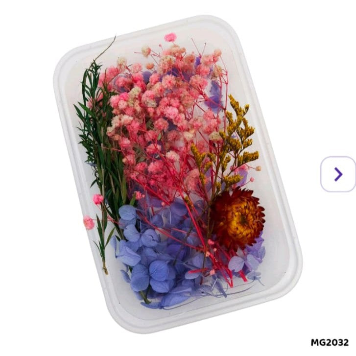 Dry Flower Box MG2032