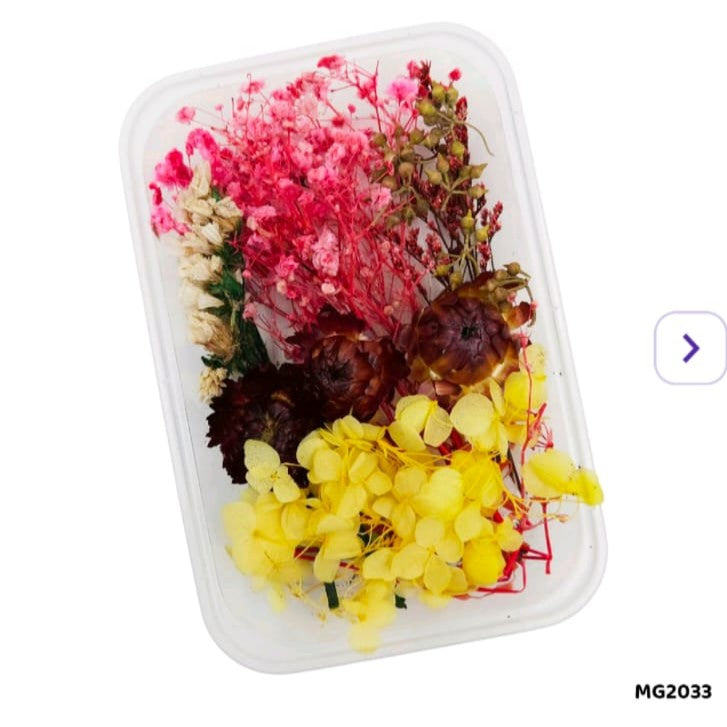 Dry Flower Box MG2033