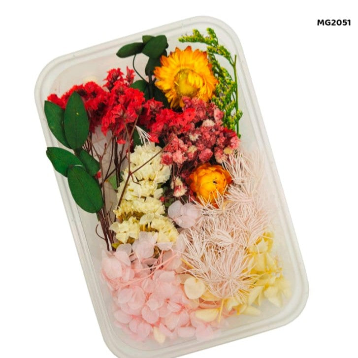 Dry Flower Box
pressed flower
dry flower for resin
dry flower for candle
insane craft supplies