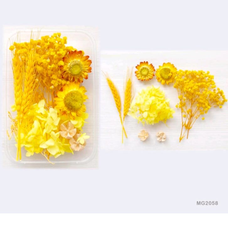 dry flower
dry flower for candle
insane craft supplies