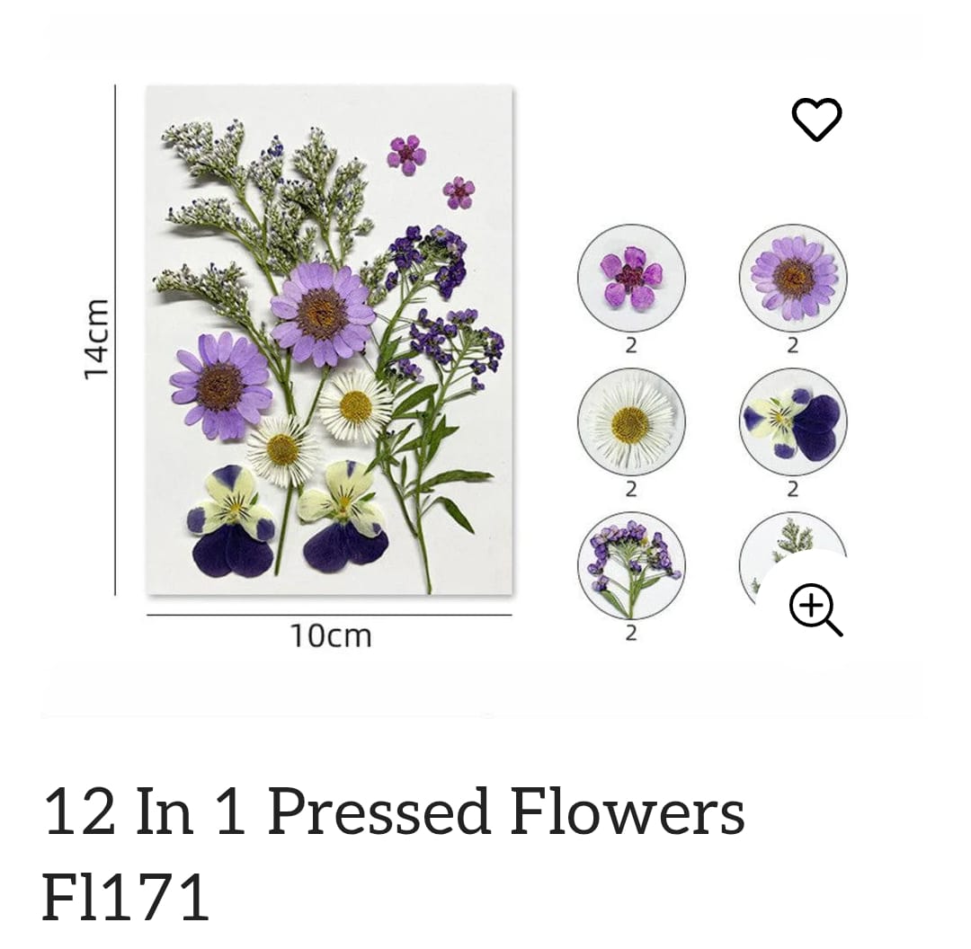 Dry Flower Sheet
pressed flower
dry flower for resin