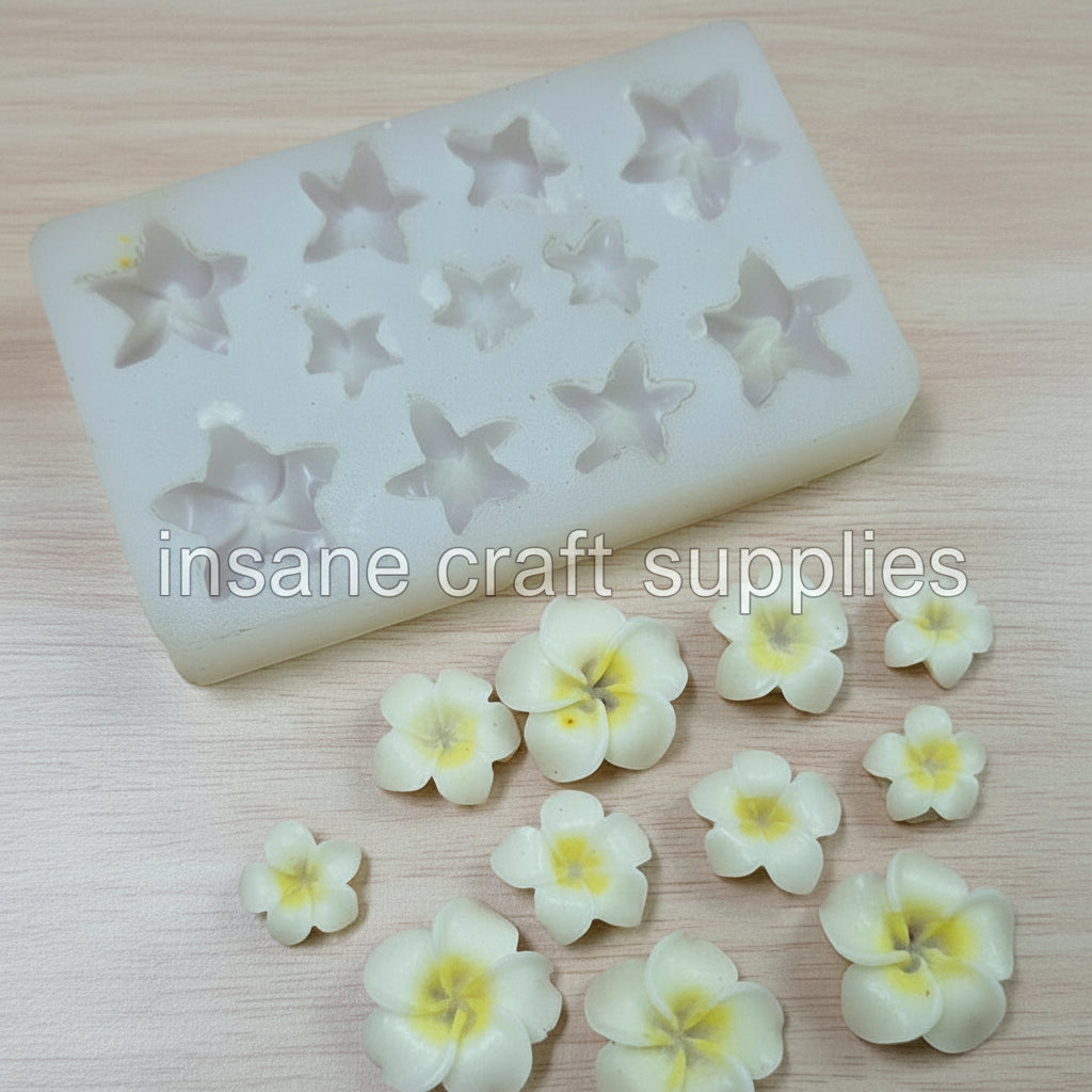 Frangipani Flower Mould
candle making material
candle raw material
candle material
candle molds
candle making molds