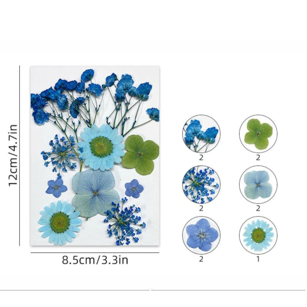 Dry Flower Sheet Mix Blue