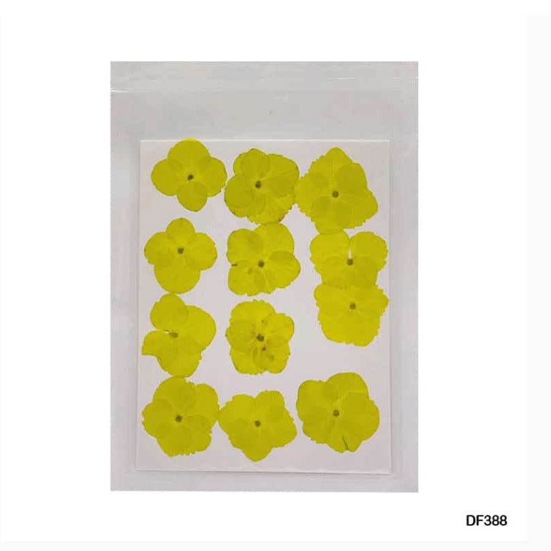 Dry Flower Sheet yellow