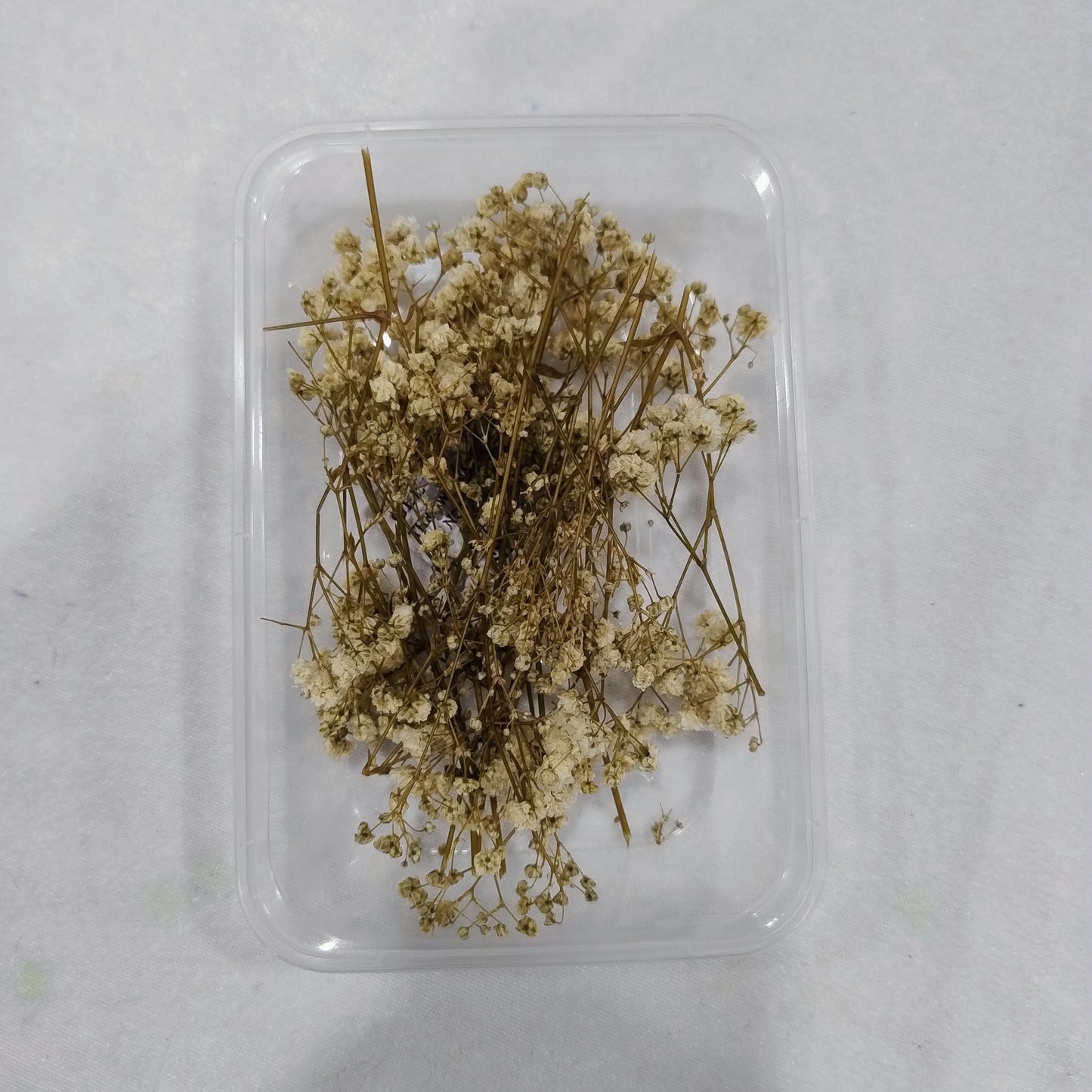 Baby Breath Dry Flower White