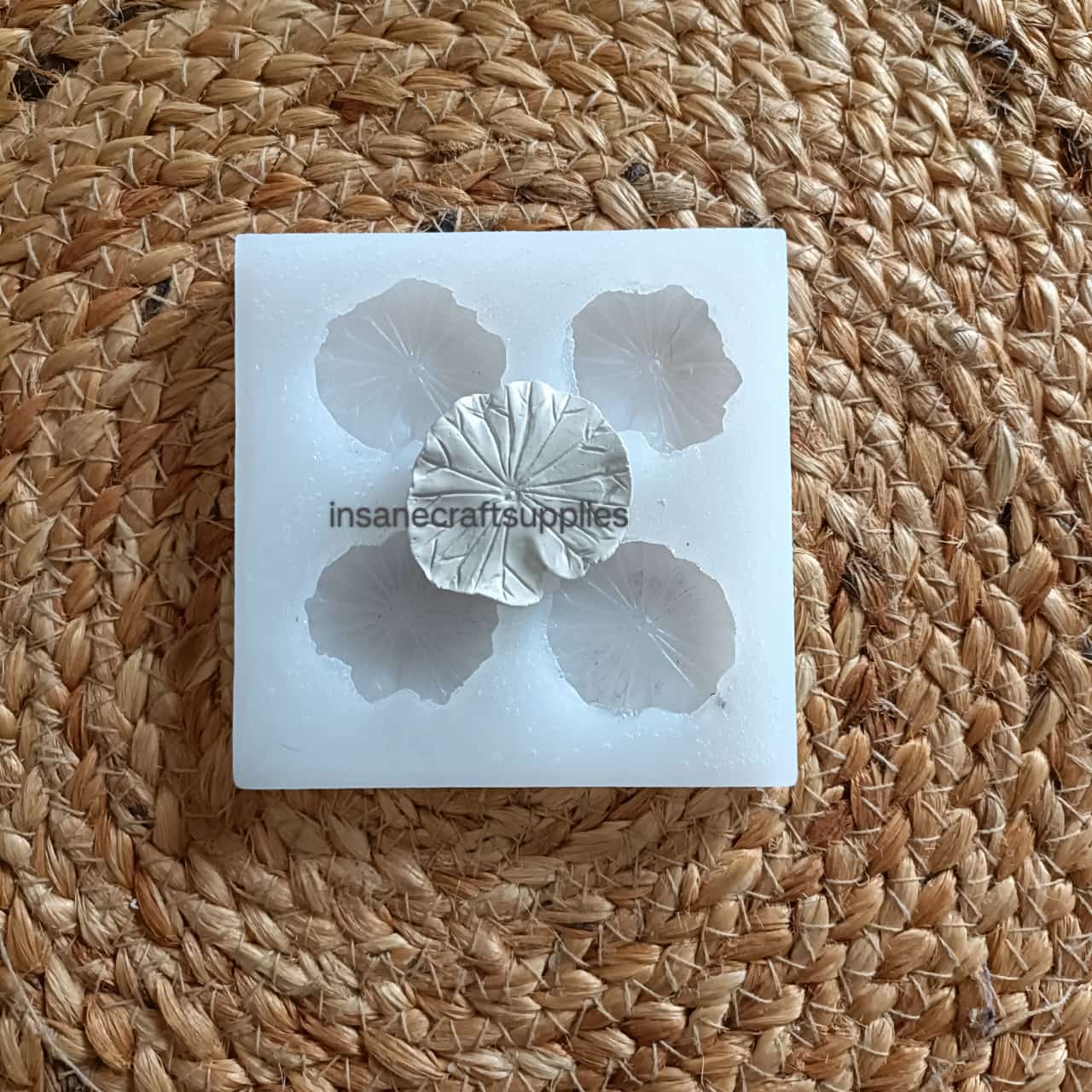 Lotus Pond Leaf Mould
resin mould
leaf mould