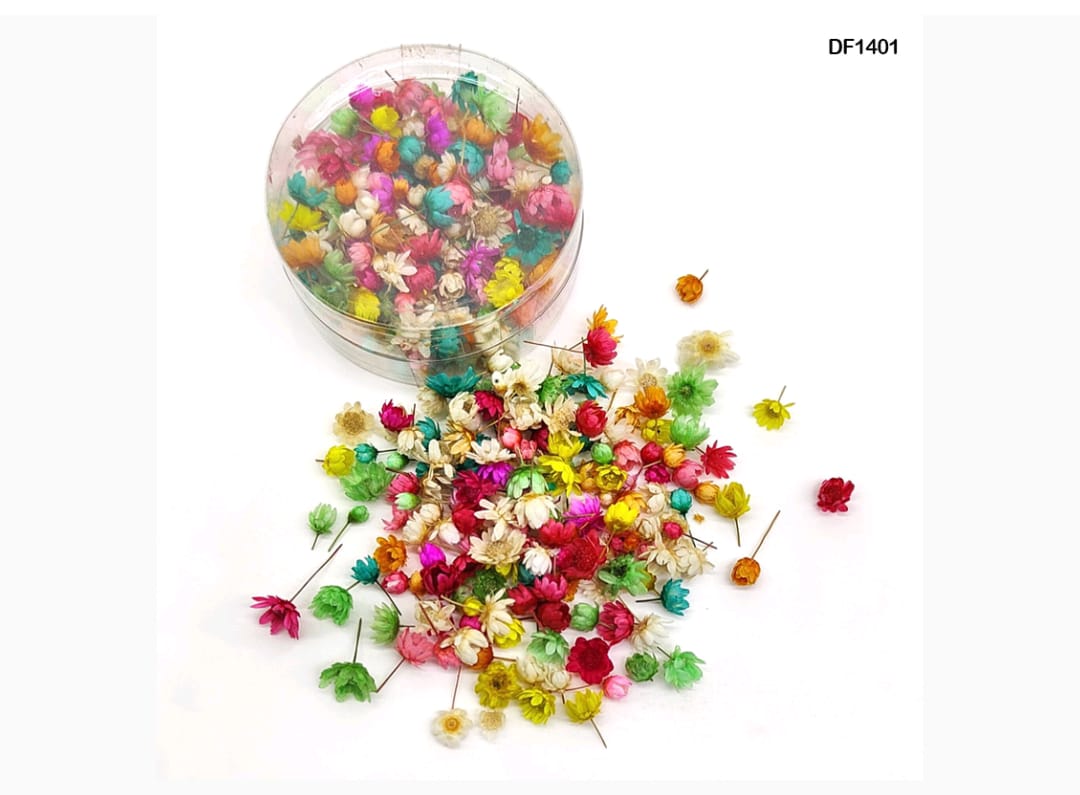 Mini Daisy Flower Box Multi Shade