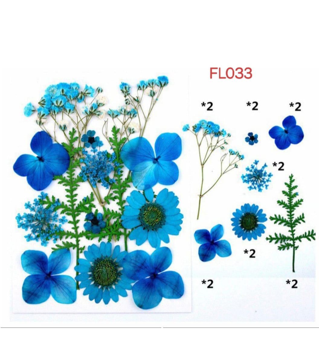 dry flower
dry flower for resin
pressed flower
pressed flower used in resin
pressed dry flower
flower used in resin
dry flower used in resin
resin dry flower
wholesale dry flower used in resin
wholesale resin art material
resin art material near me
insane craft supplies
wholesale resin art material in india
wholesale resin art material in delhi
wholesale resin art material in mumbai
wholesale resin art material in chandigarh
Daisy Pressed Flower