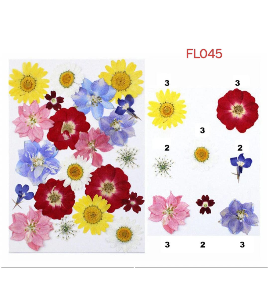 Pressed Flower FL045
dry flower
dry flower for resin
pressed flower
pressed flower used in resin
pressed dry flower
flower used in resin
dry flower used in resin
resin dry flower
wholesale dry flower used in resin
wholesale resin art material
resin art material near me
insane craft supplies
wholesale resin art material in india
wholesale resin art material in delhi
wholesale resin art material in mumbai
wholesale resin art material in chandigarh
Daisy Pressed Flower