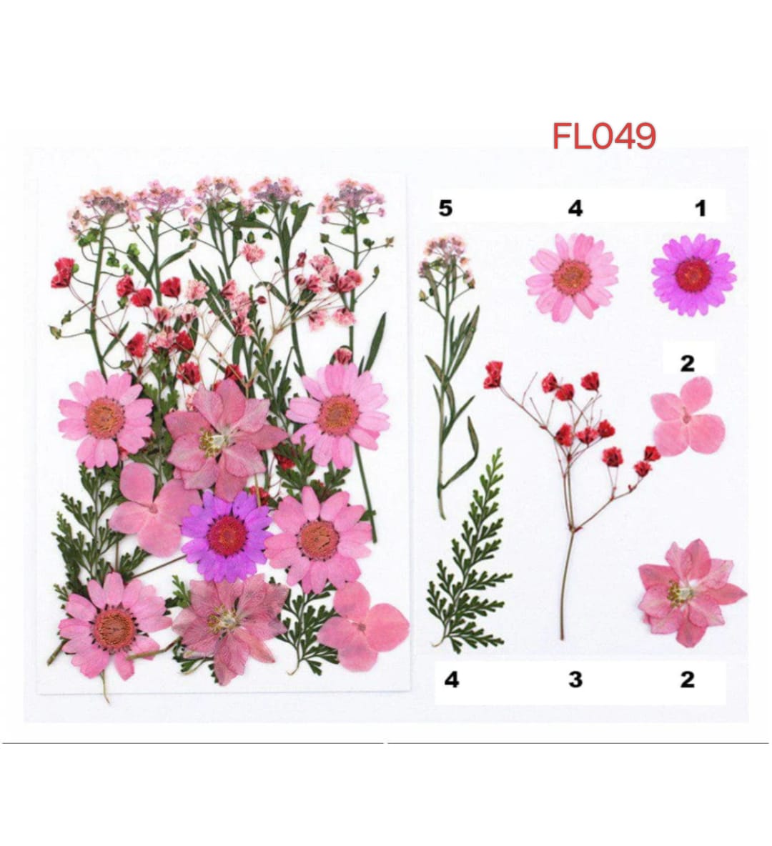 Pressed Flower FL049
dry flower
dry flower for resin
pressed flower
pressed flower used in resin
pressed dry flower
flower used in resin
dry flower used in resin
resin dry flower
wholesale dry flower used in resin
wholesale resin art material
resin art material near me
insane craft supplies
wholesale resin art material in india
wholesale resin art material in delhi
wholesale resin art material in mumbai
wholesale resin art material in chandigarh
Daisy Pressed Flower