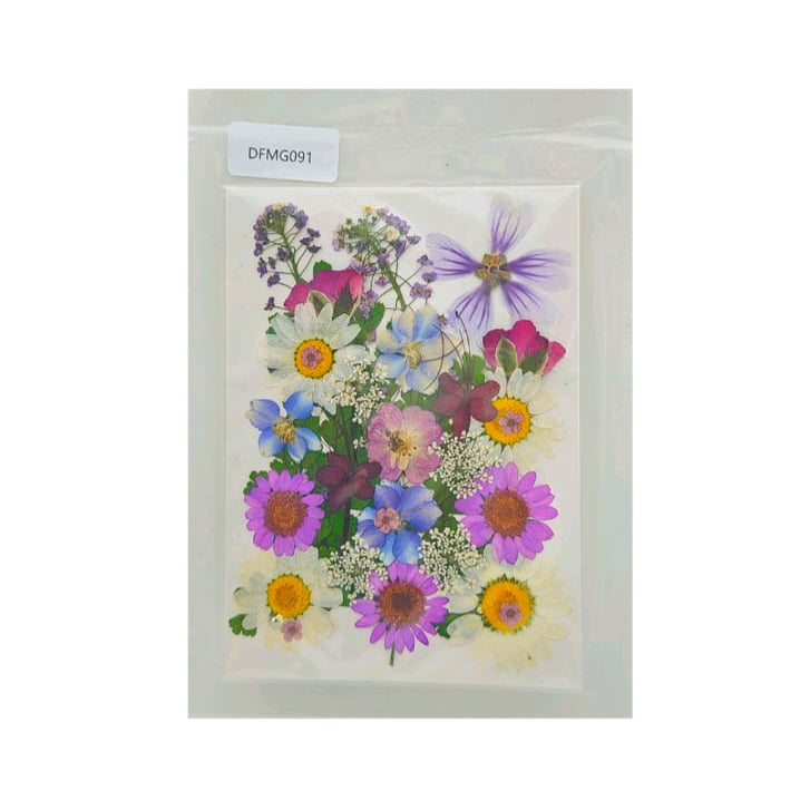 dry flower
dry flower for resin
pressed flower
pressed flower used in resin
pressed dry flower
flower used in resin
dry flower used in resin
resin dry flower
wholesale dry flower used in resin
wholesale resin art material
resin art material near me
insane craft supplies
wholesale resin art material in india
wholesale resin art material in delhi
wholesale resin art material in mumbai
wholesale resin art material in chandigarh
Daisy Pressed Flower