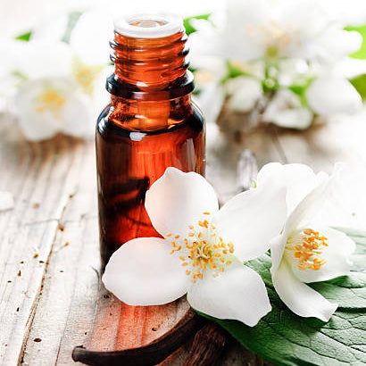 Vanilla Fragrance Oil
Vanilla Fragrance Oil for candle making
candle making material
insane craft supplies
candle fragrance oil