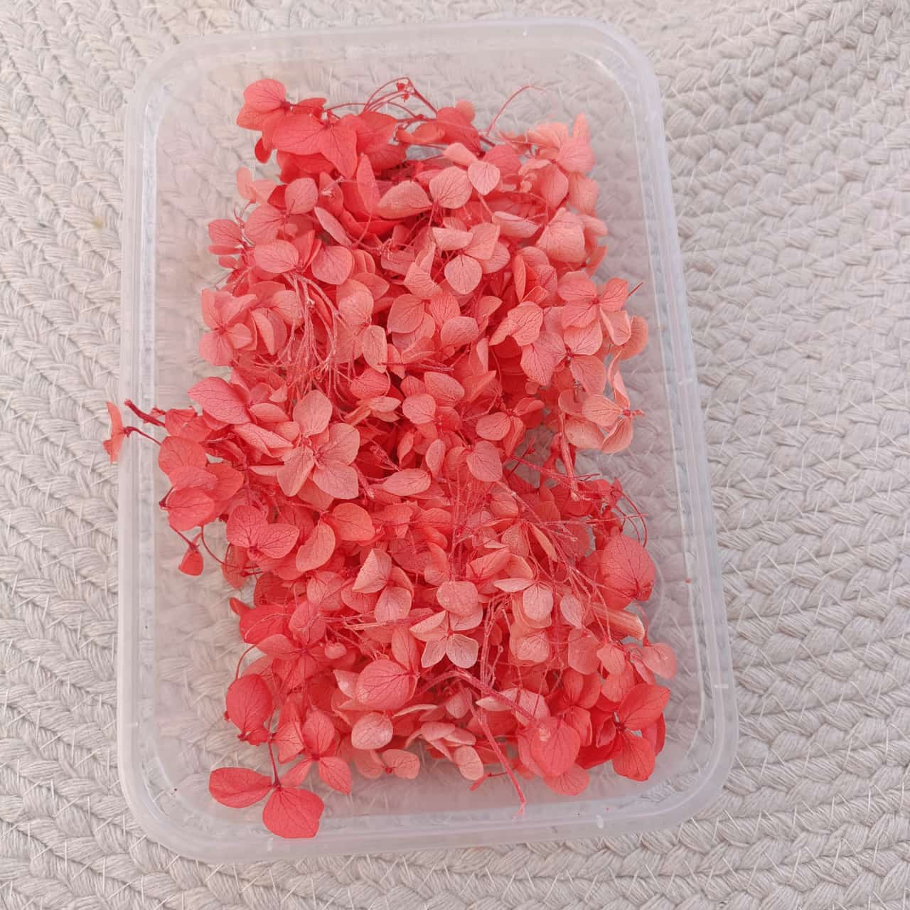 Red Hydrangea Flower Box DD086