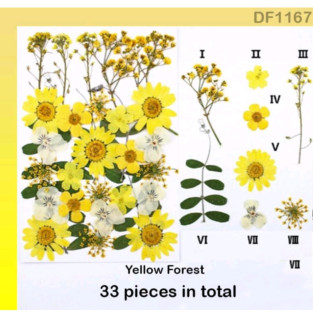 Yellow Dry Flower Sheet 33 pcs in a pack