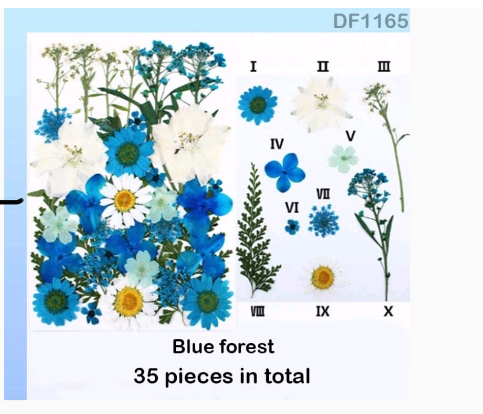 Blue Dry Flower Sheet 35 pcs in a pack
