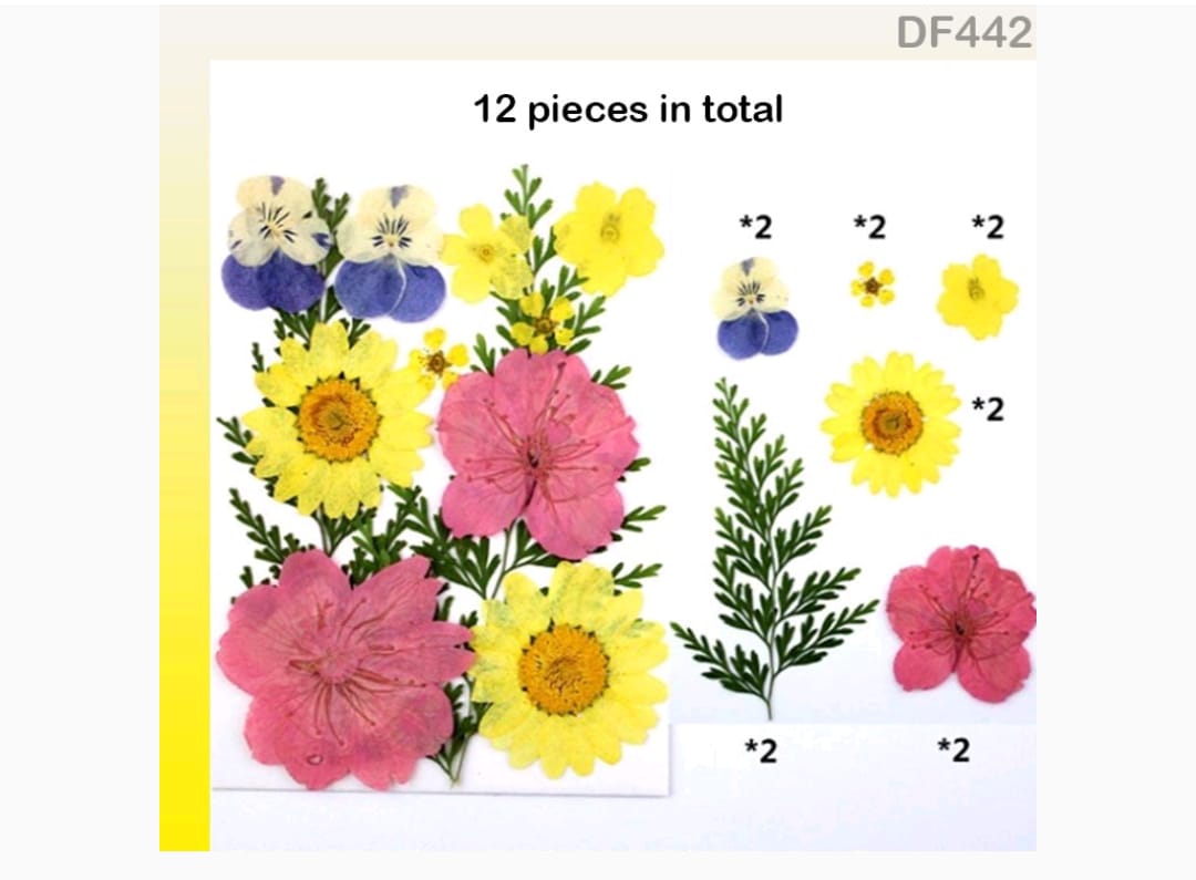 Dry Flower Sheet red and yellow DF44-2