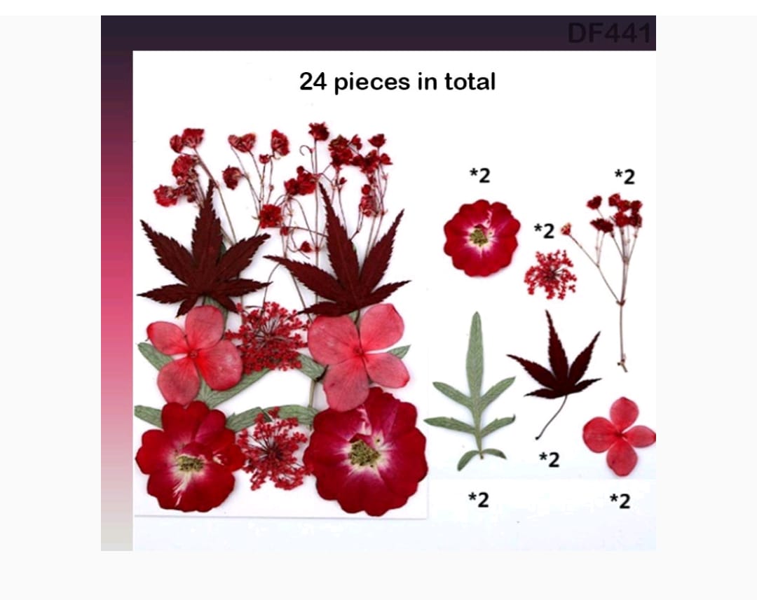 Dry Flower Sheet DF44-1