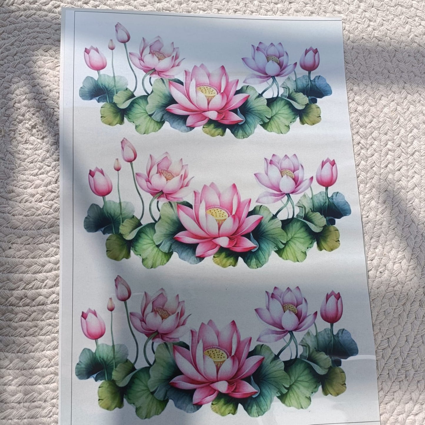 A4 insert Sheet IN14