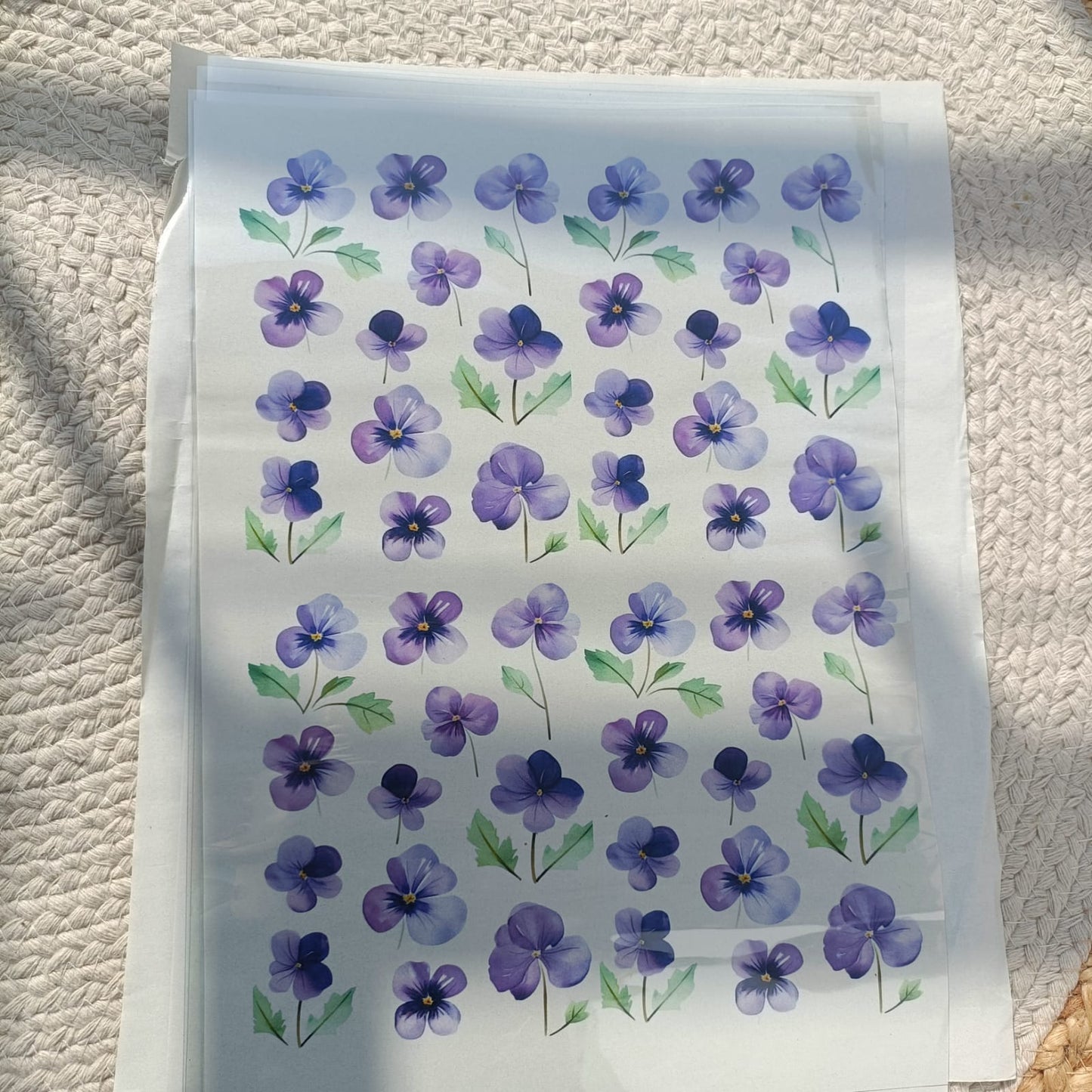 A4 Insert Sheet IN11/23