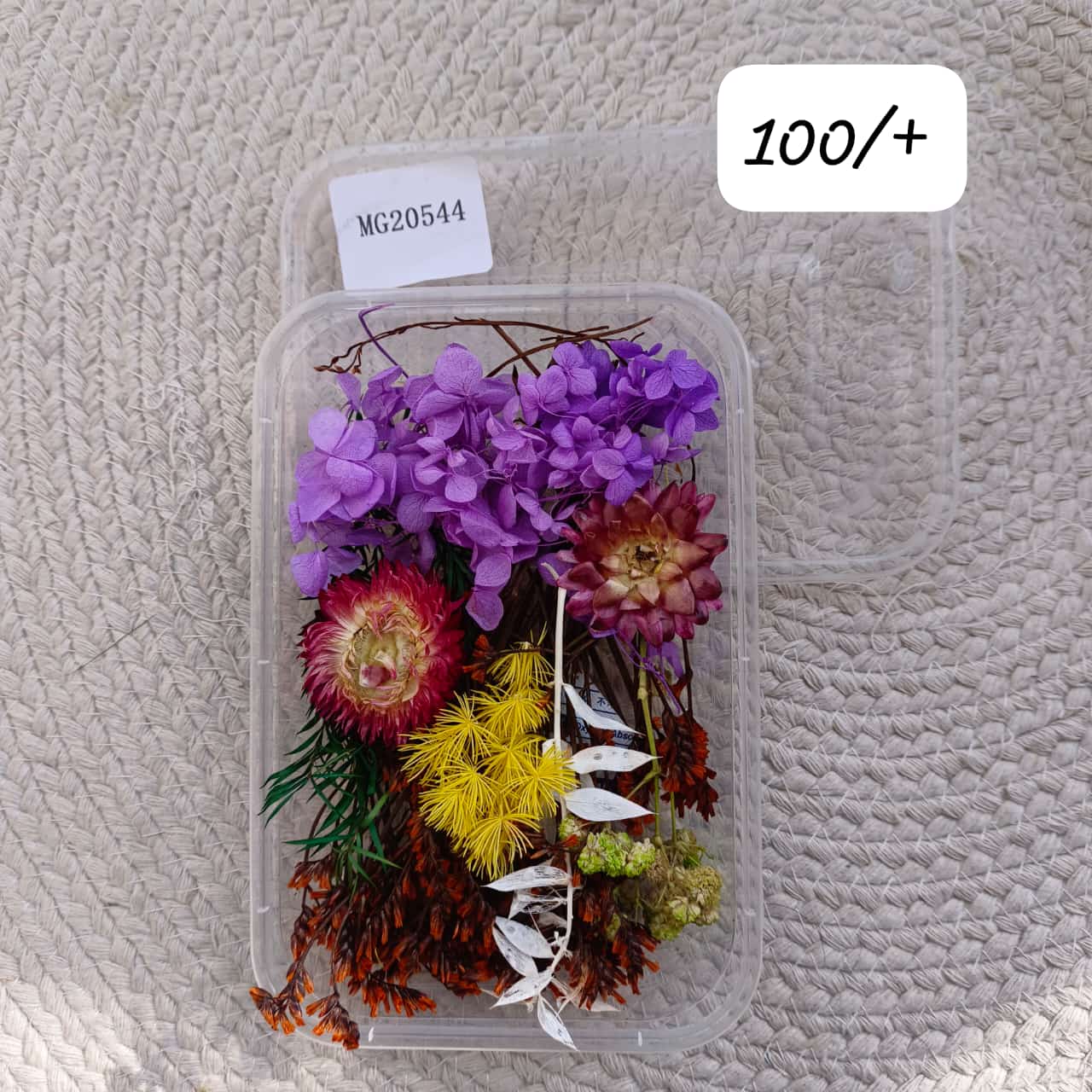 dry flower box MG20544
resin dry flower
dry flower used in resin