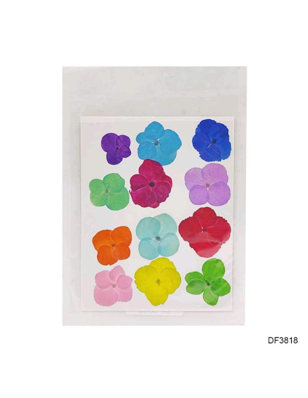 mix flower sheet
dry flower sheet
dry flower for resin
pressed flower for resin