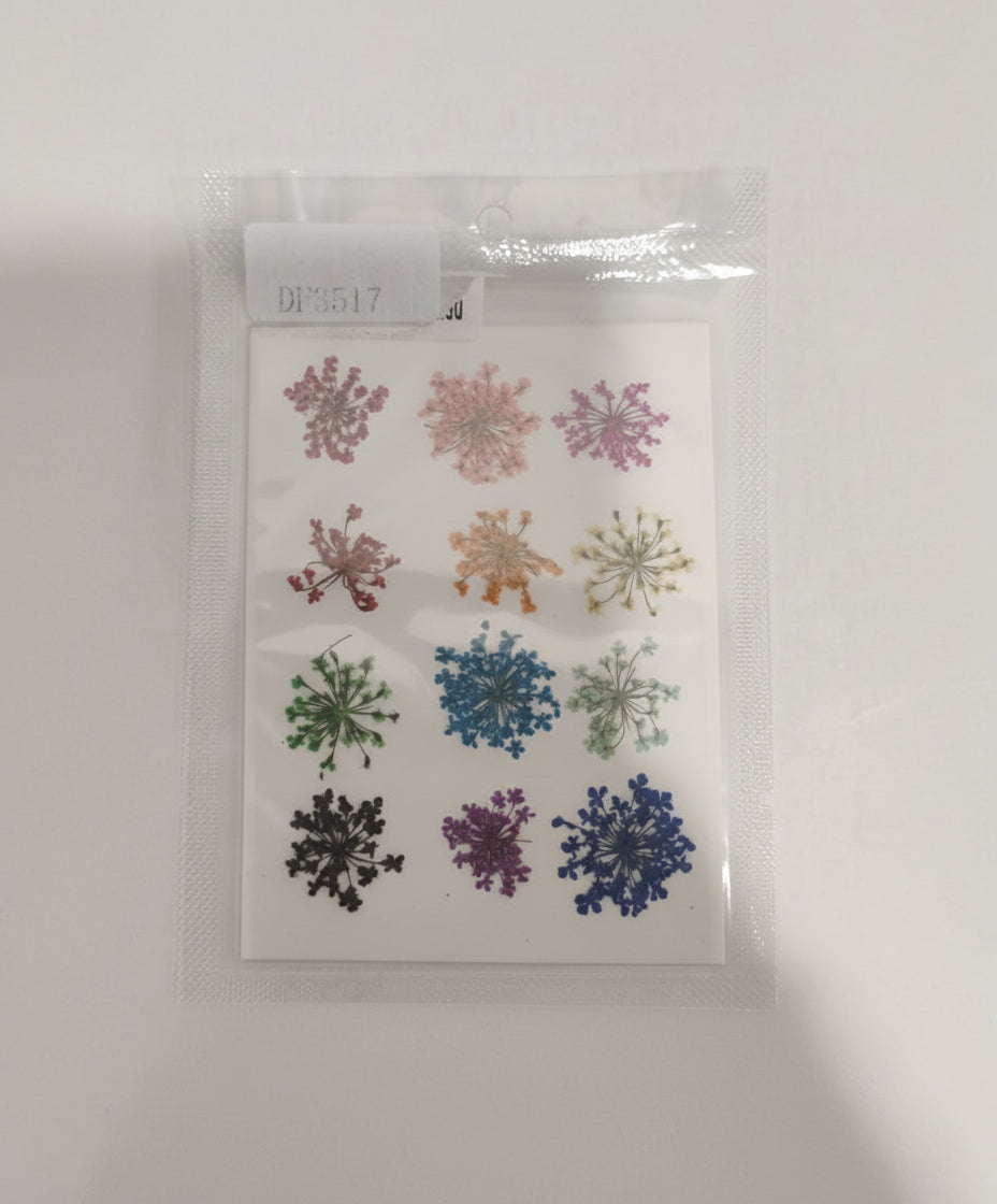 12 in 1 mini Pressed Flower Multi Shade 81078