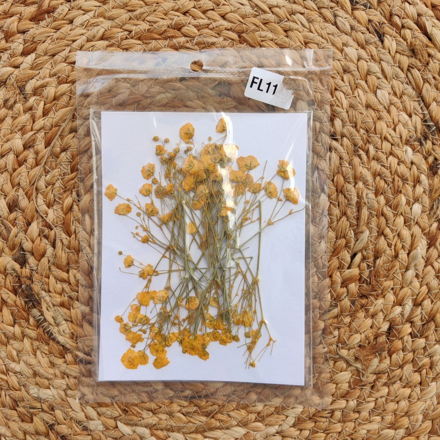 Pressed Gypsy yellow flower