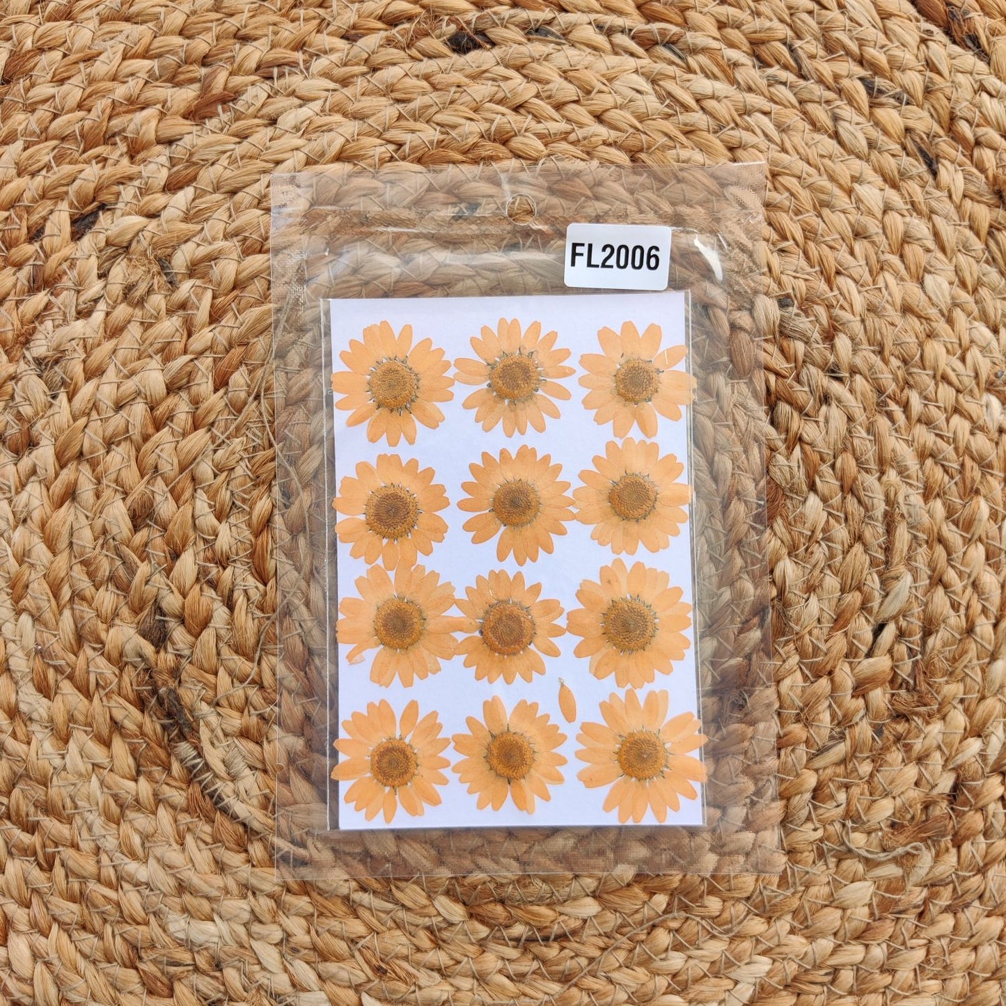 FL2006 pressed flower orange daisy