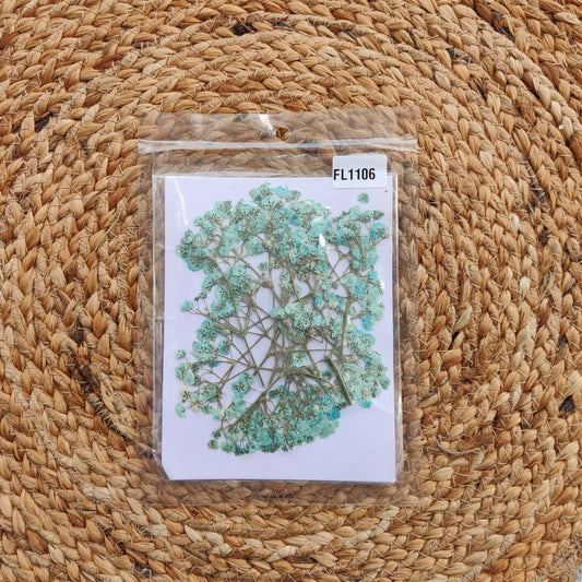 Pressed Gypsy Light Blue flower