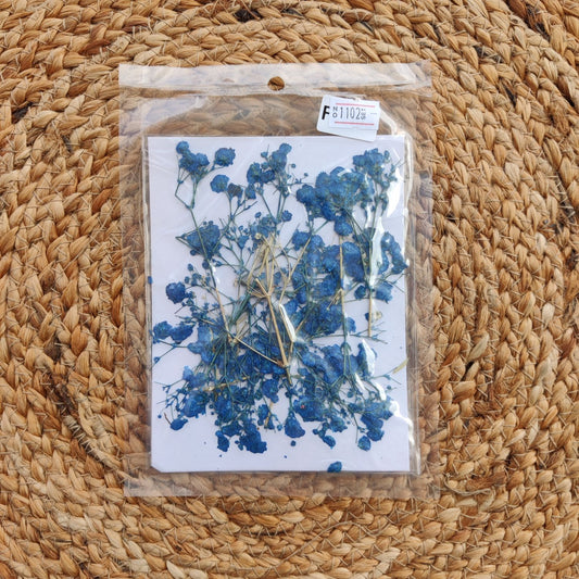 Pressed gypsy blue flower