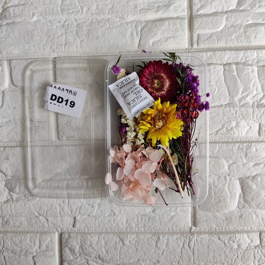 Dry Flower Box DD19