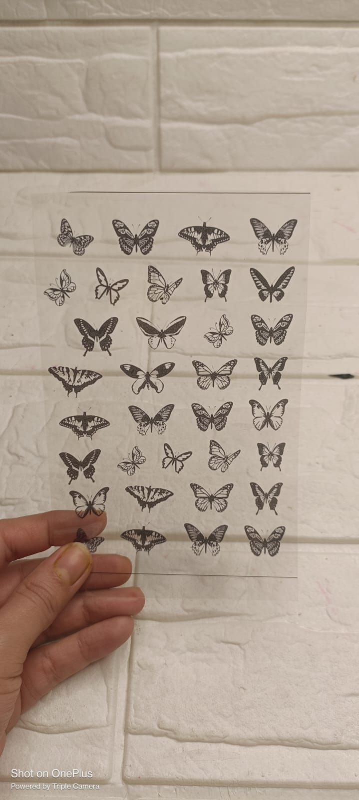 Butterfly Insert Sheet