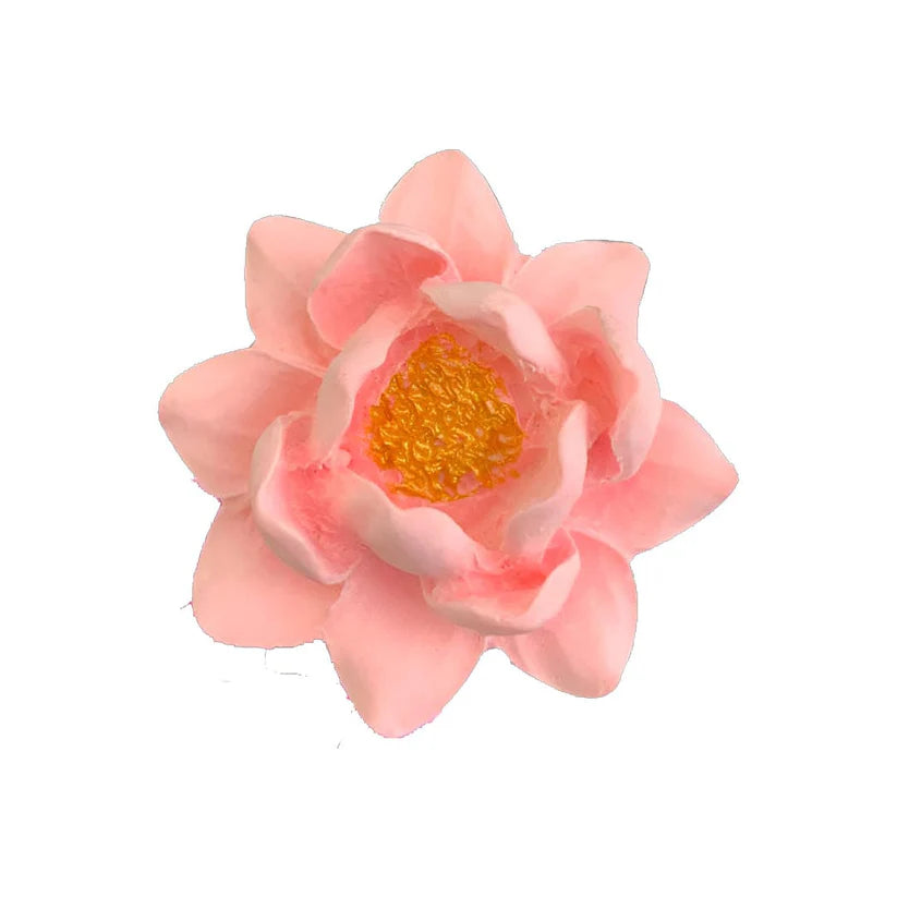 candle mould
candle making mould
insane craft supplies