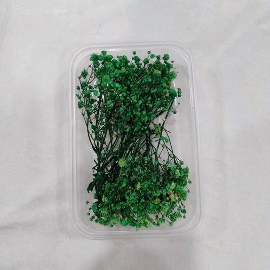 Baby Breath flower
gypsy flower
insane craft supplies