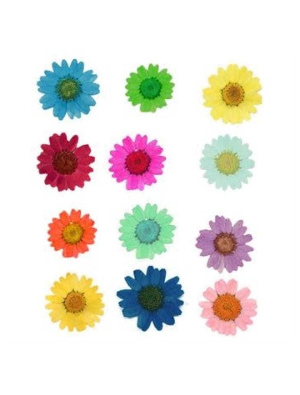 Daisy  Flower Sheet Mix