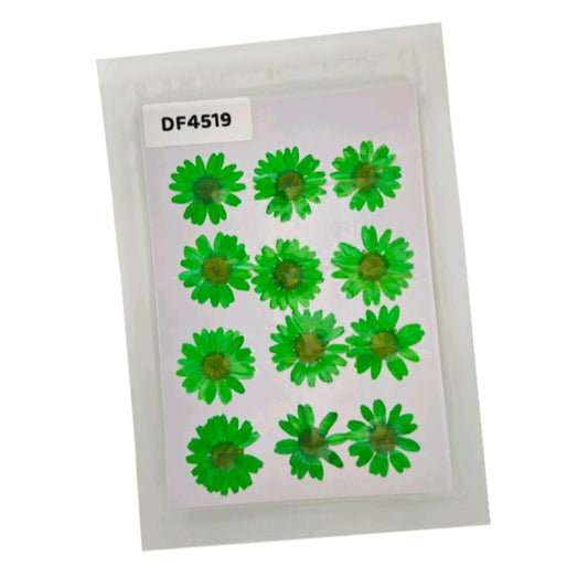 Daisy Pressed Flower
dry flower
dry flower for resin
pressed flower
pressed flower used in resin
pressed dry flower
flower used in resin 
dry flower used in resin
resin dry flower
wholesale dry flower used in resin
wholesale resin art material
resin art material near me
insane craft supplies
wholesale resin art material in india 
wholesale resin art material in delhi 
wholesale resin art material in mumbai
wholesale resin art material in chandigarh