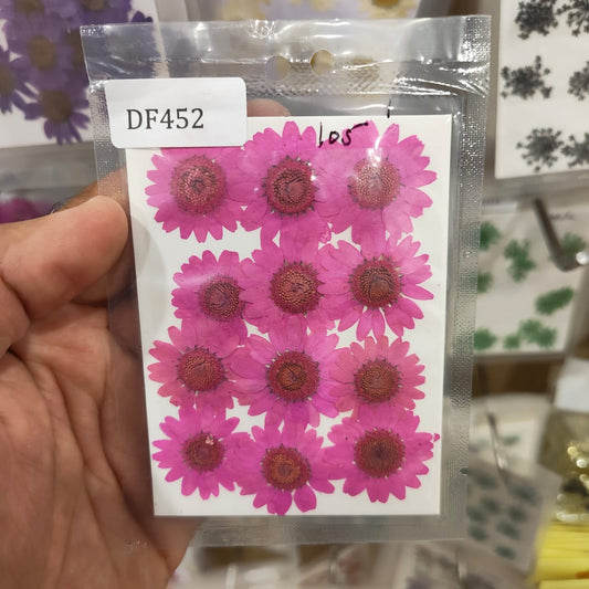 Daisy Pressed Flower Dark Pink DF452
dry flower
dry flower for resin
pressed flower
pressed flower used in resin
pressed dry flower
flower used in resin 
dry flower used in resin
resin dry flower
wholesale dry flower used in resin
wholesale resin art material
resin art material near me
insane craft supplies
wholesale resin art material in india 
wholesale resin art material in delhi 
wholesale resin art material in mumbai
wholesale resin art material in chandigarh
Daisy Pressed Flower