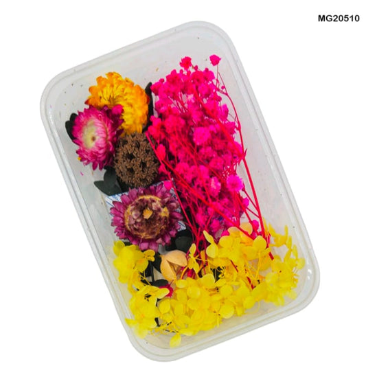 dry flower for resin art
wholesale dried flowers for resin
dried flowers for resin meesho
artificial flowers for resin art
dried flowers for resin jewellery
dry flowers for resin art near me
dried flowers for resin wholesale india
small dried flowers for resin
dried flowers for resin flipkart
insane craft supplies
Dry Flower Box MG20510