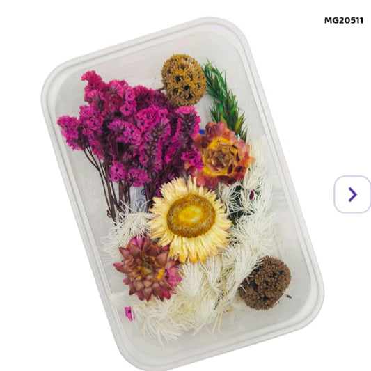 dry flower for resin art
wholesale dried flowers for resin
dried flowers for resin meesho
artificial flowers for resin art
dried flowers for resin jewellery
dry flowers for resin art near me
dried flowers for resin wholesale india
small dried flowers for resin
dried flowers for resin flipkart
insane craft supplies
Dry Flower Box MG20511
