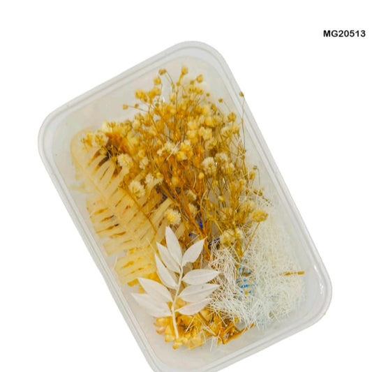 dry flower for resin art
wholesale dried flowers for resin
dried flowers for resin meesho
artificial flowers for resin art
dried flowers for resin jewellery
dry flowers for resin art near me
dried flowers for resin wholesale india
small dried flowers for resin
dried flowers for resin flipkart
insane craft supplies
Dry Flower Box MG20513