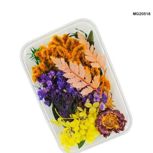 Dry Flower Box MG20518
dry flower for resin art
wholesale dried flowers for resin
dried flowers for resin meesho
artificial flowers for resin art
dried flowers for resin jewellery
dry flowers for resin art near me
dried flowers for resin wholesale india
small dried flowers for resin
dried flowers for resin flipkart
insane craft supplies