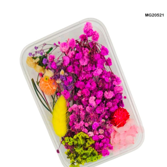 Dry Flower Box MG20521
dry flower for resin art
wholesale dried flowers for resin
dried flowers for resin meesho
artificial flowers for resin art
dried flowers for resin jewellery
dry flowers for resin art near me
dried flowers for resin wholesale india
small dried flowers for resin
dried flowers for resin flipkart
insane craft supplies
